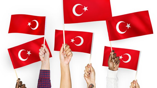 Действия при отмене гражданства Турции